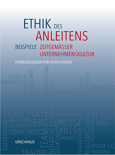 Ethik des Anleitens von Ulrich Meier (Herausgeber)