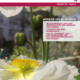 Seminarzeitung 2024