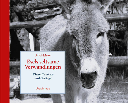 Esels seltsame Verwandlungen von Ulrich Meier